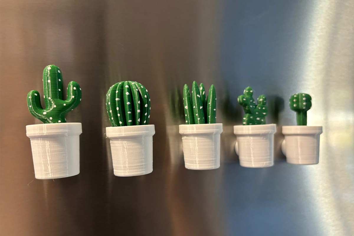 Kaktüs Buzdolabı Magnet 5li Set